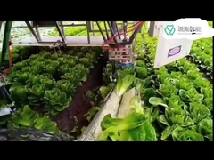 কেআর ডেল্টা রোবটের জন্য হেভি ডিউটি ​​কুকা রোবট আর্ম সিস্টেমস হ্যান্ডলিং প্যাকেজিং 7 ডফ আর্ম