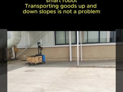 এজিভি ফর্কলিফ্টঃ লজিস্টিক অটোমেশনের জন্য একটি নতুন পছন্দ